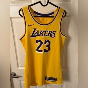 Lebron James Los Angeles Lakers Swingman Jersey